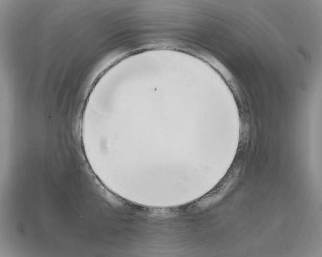 X0000113850807200909241004