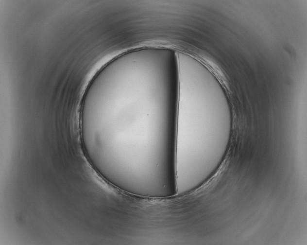 X0000113850808200909241004