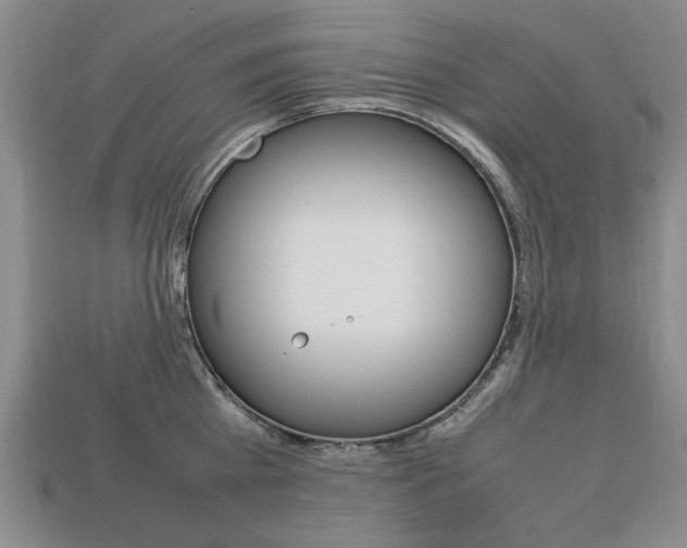 X0000113850809200909241004