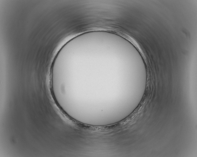 X0000113850811200909241004