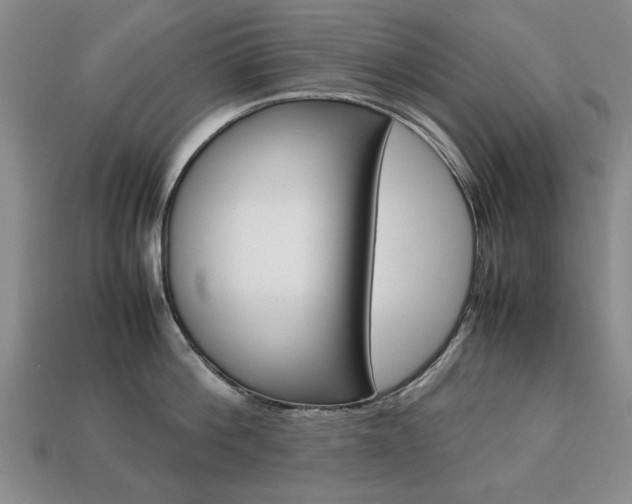 X0000113850812200909241004