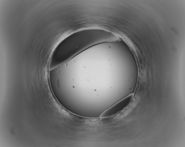 X0000113850813200909241004