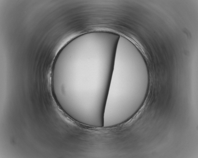 X0000113850814200909241004