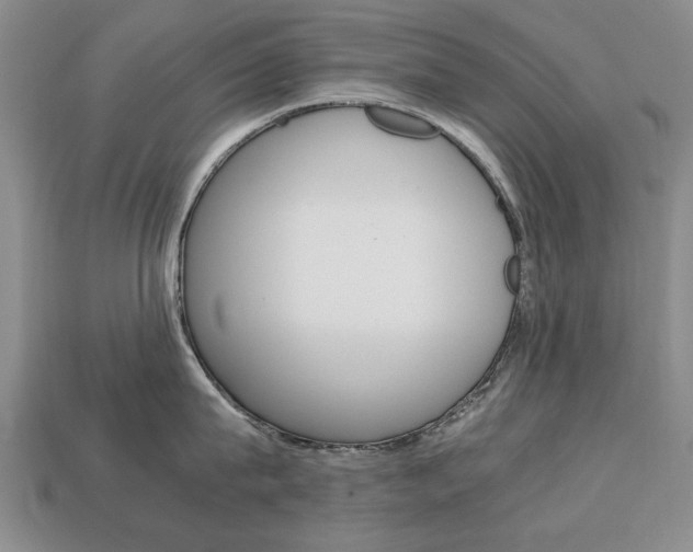X0000113850815200909241004