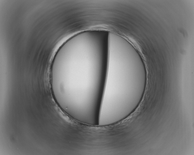 X0000113850816200909241004