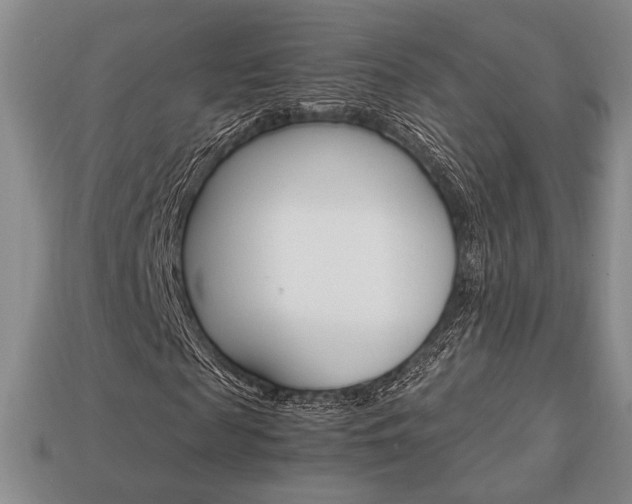 X0000113850817200909241003
