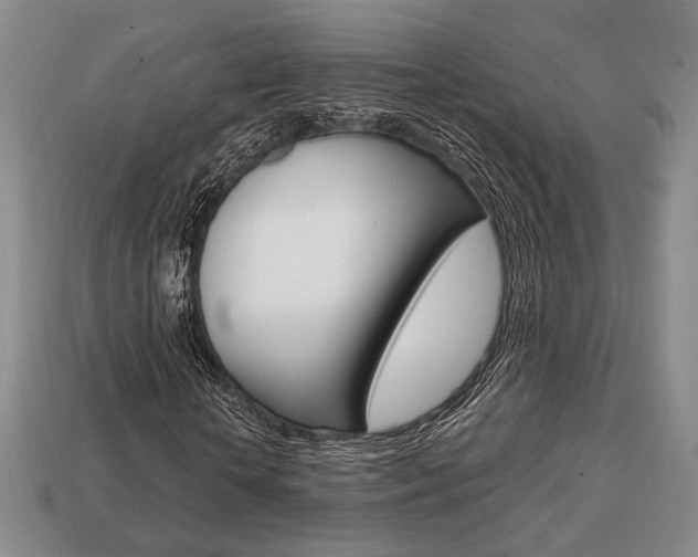 X0000113850818200909241003