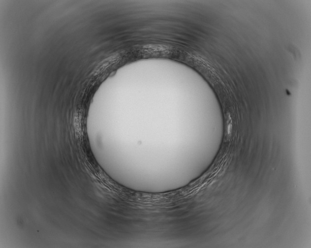 X0000113850819200909241003