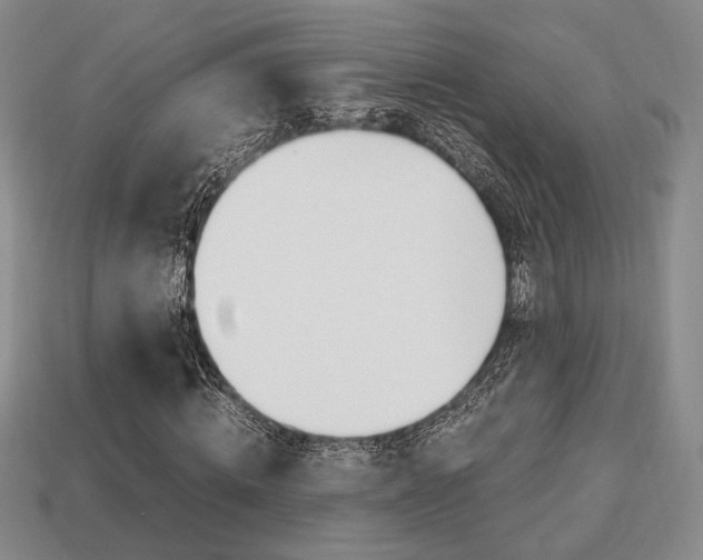 X0000113850820200909241003