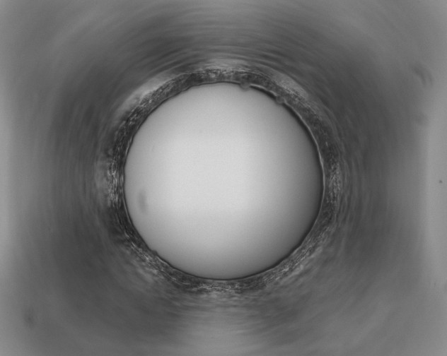 X0000113850822200909241003
