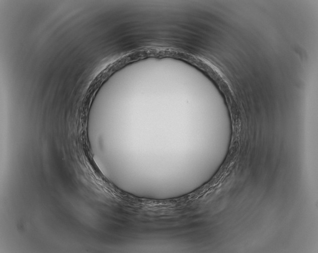 X0000113850823200909241003