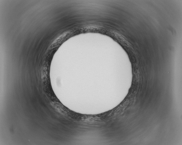 X0000113850824200909241003