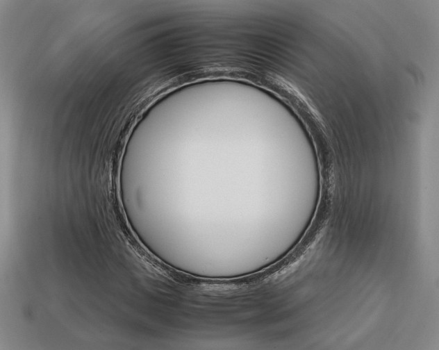 X0000113850825200909241003