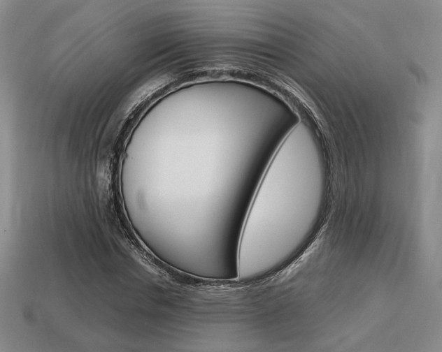 X0000113850826200909241003
