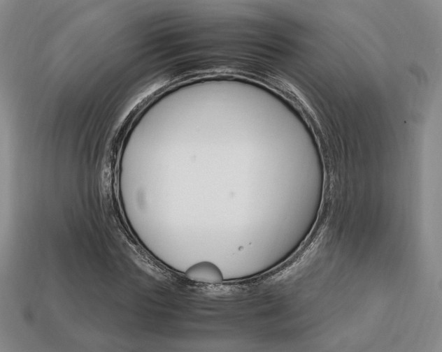 X0000113850827200909241003