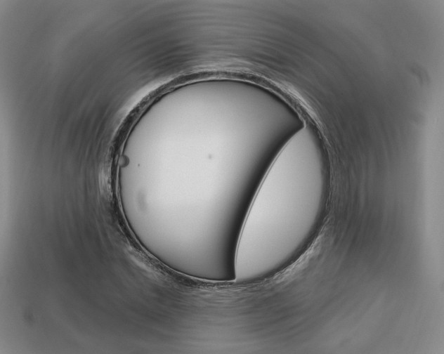 X0000113850830200909241003