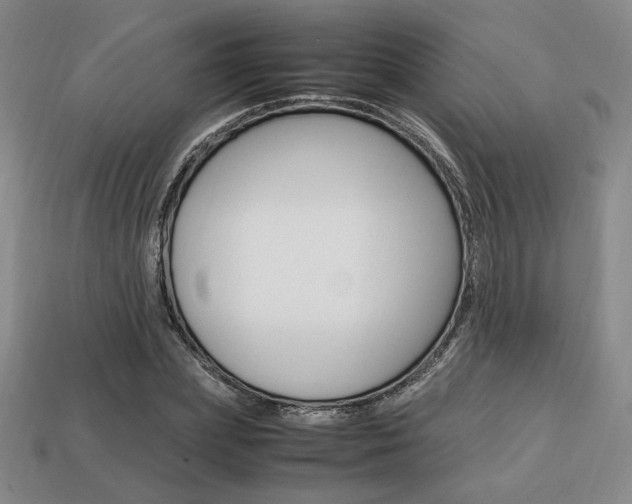 X0000113850831200909241003