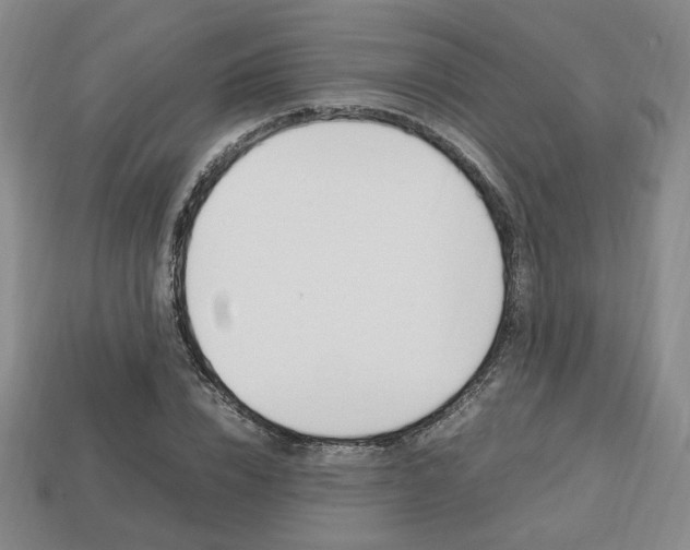 X0000113850832200909241003