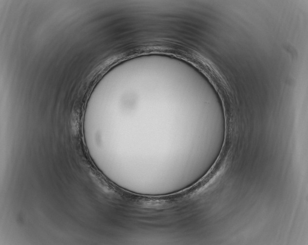 X0000113850833200909241003