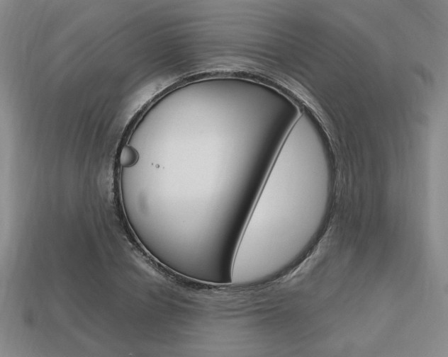 X0000113850834200909241003