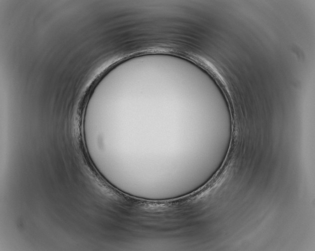 X0000113850835200909241003