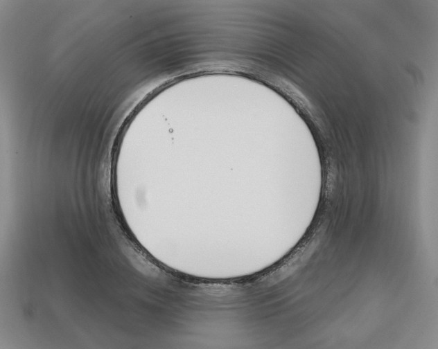 X0000113850836200909241003