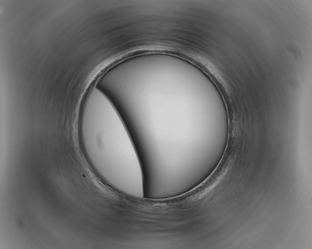 X0000113850837200909241003