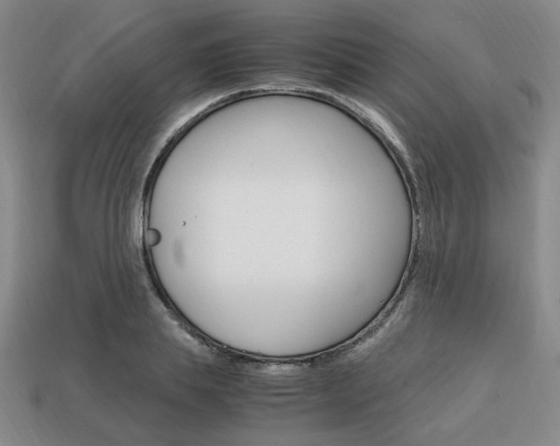 X0000113850839200909241003