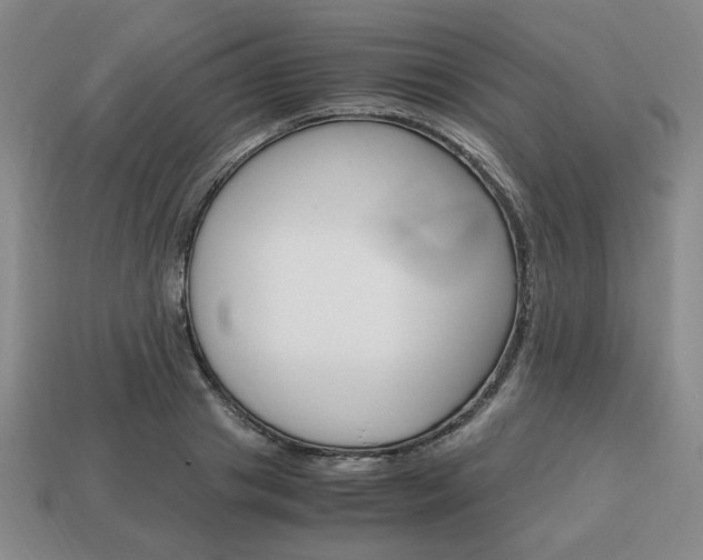 X0000113850841200909241003