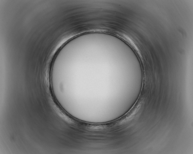 X0000113850843200909241003