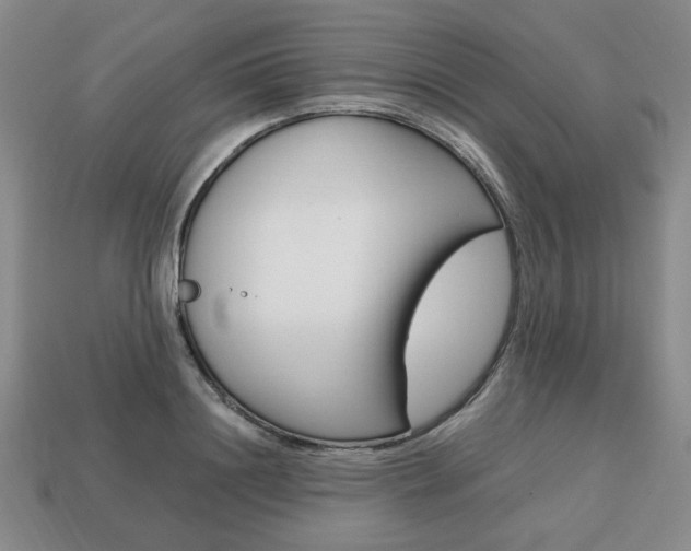 X0000113850844200909241003