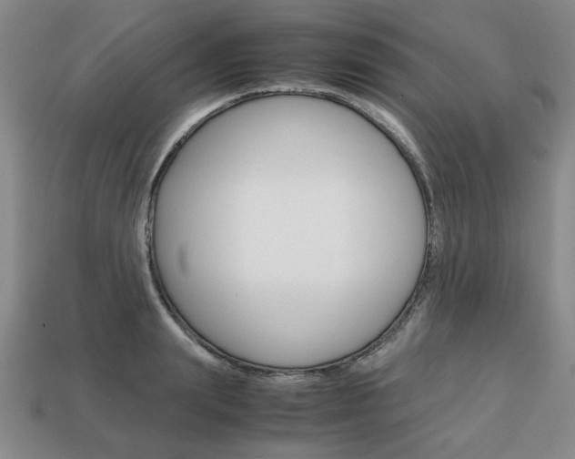 X0000113850847200909241003