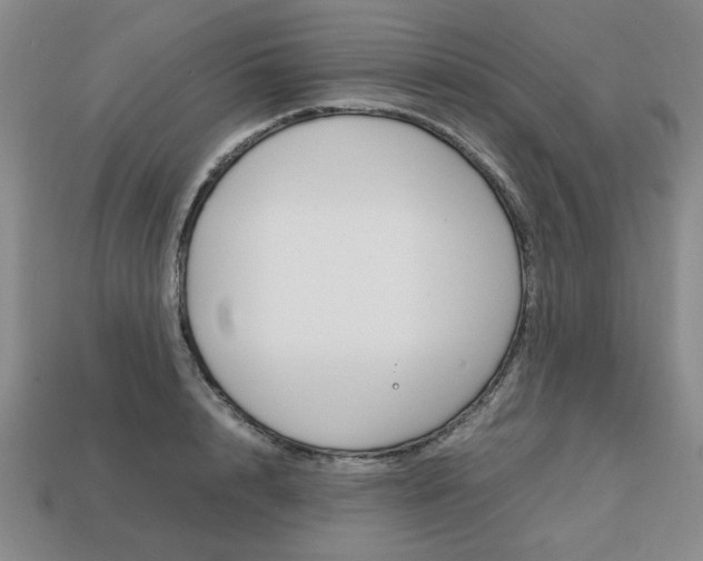 X0000113850848200909241003