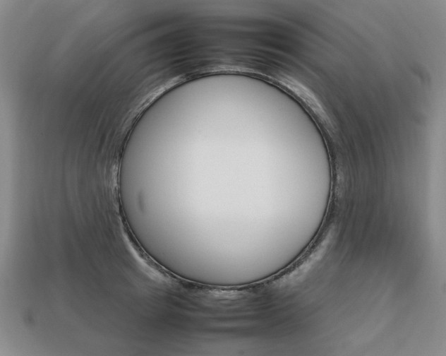 X0000113850849200909241003
