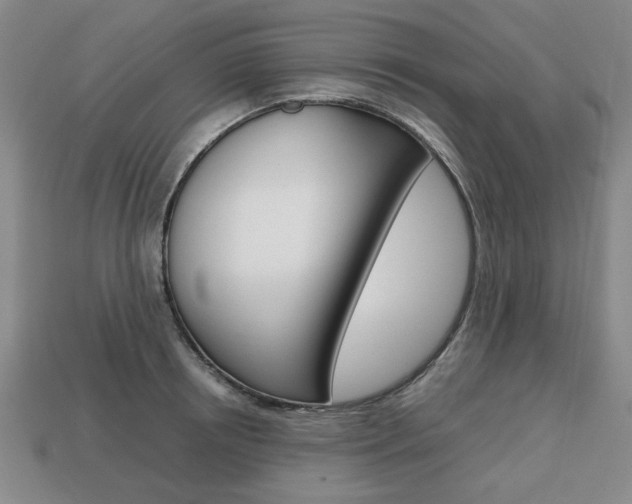 X0000113850850200909241003
