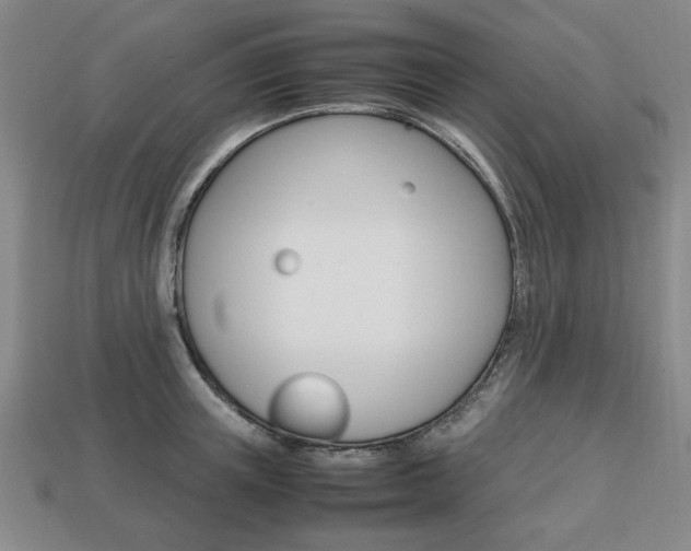 X0000113850851200909241003