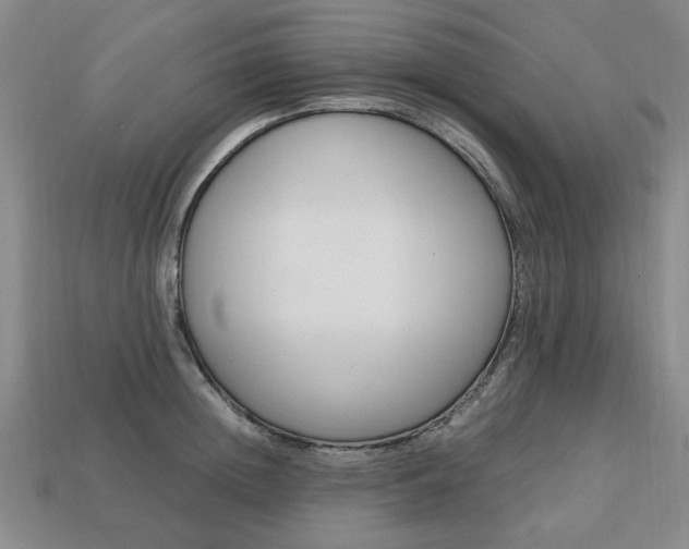 X0000113850852200909241003