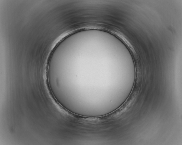X0000113850853200909241003