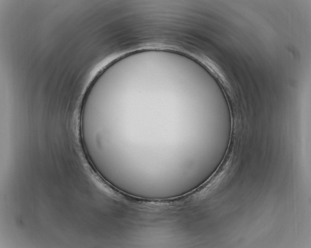 X0000113850854200909241003