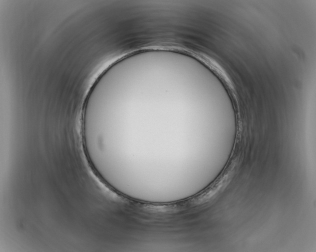 X0000113850855200909241003