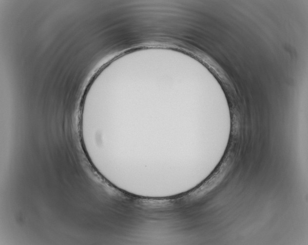 X0000113850856200909241003