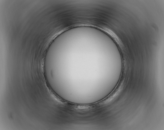 X0000113850857200909241003