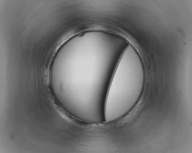 X0000113850858200909241003