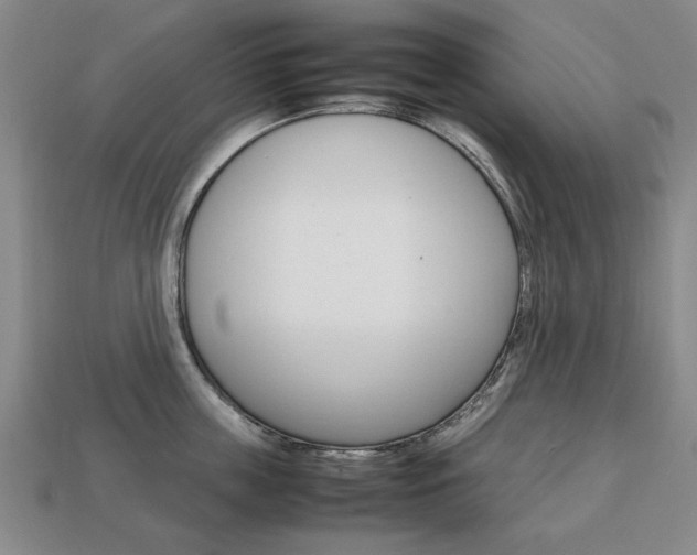 X0000113850859200909241003