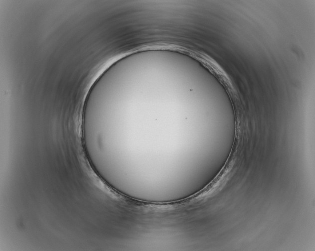 X0000113850860200909241003