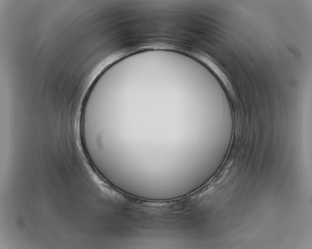 X0000113850861200909241004