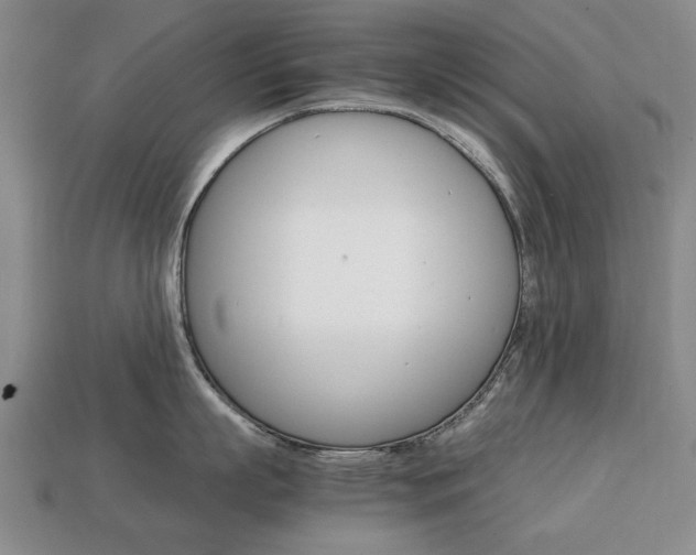 X0000113850863200909241004
