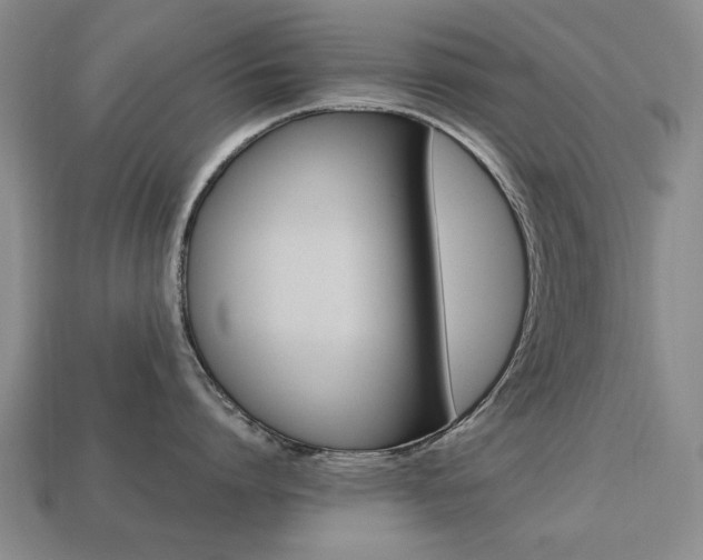 X0000113850864200909241004