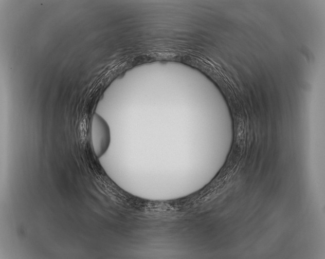 X0000113850866200909241003