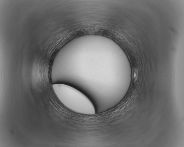 X0000113850867200909241003